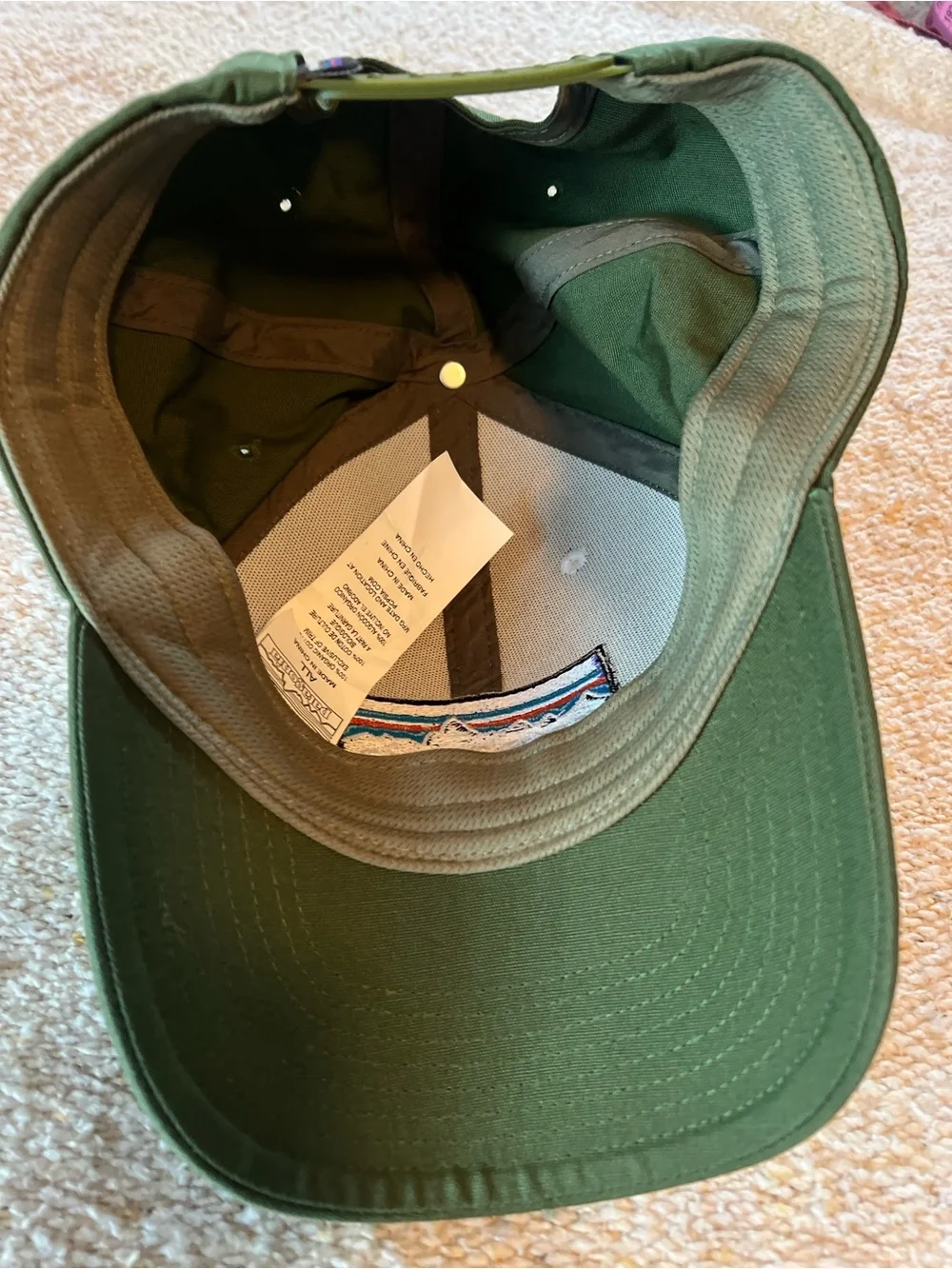 Patagonia Logo Cap